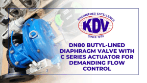 dn80 butyl diaphragm valve with c series